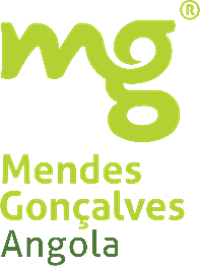 Mendes Gonçalves Angola